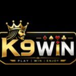 k9 win Game